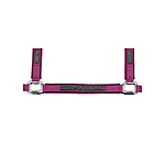 Halfter Mesh-Technology