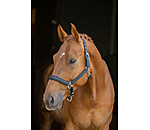 Halfter Twotone & Crystal