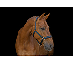 Halfter Twotone & Crystal