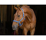 Halfter Twotone & Crystal