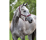 Halfter Signature III