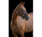 Halfter Signature III