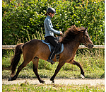 Arbeitstrense Karabiner