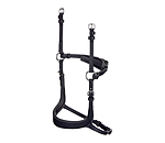 Mix & Match Ge�ltes Leder-Reithalfter Revolution