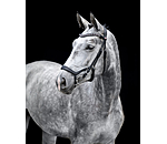 Mix & Match Ge�ltes Leder-Reithalfter Revolution