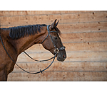 Mix & Match Ge�ltes Leder-Genickst�ck Gebisslos