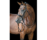 Kandarenzaum Dressage II