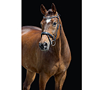 Zaum Alaska mit abnehmbarem Sperrriemen