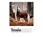Pferdekalender 2026