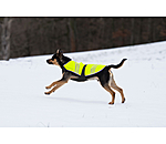 Reflex-Hundemantel Bright