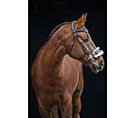 Hackamore mit Fellpolster