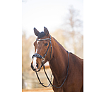 Gl�cksrad II