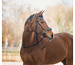 Gl�cksrad II