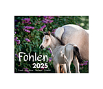 Fohlen Kalender 2026