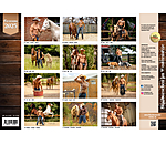 Grooms Kalender 2026