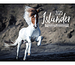 Islnder Kalender 2026