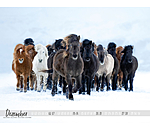 Islnder Kalender 2026