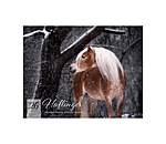 Haflinger Kalender 2025