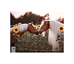 Haflinger Kalender 2025