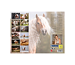 Haflinger Kalender 2025