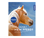 Was denkt mein Pferd?