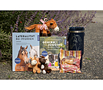 Lateralitt bei Pferden