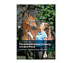 Pferdef�hrerschein Umgang mit dem Pferd