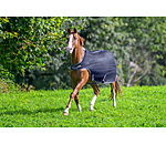 Fliegenschutz-Walker Economy Light