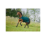 Fliegenschutz-Walker Economy Light