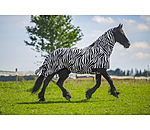 Zebra-Ekzemerdecke Gibson II
