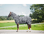 Zebra-Ekzemerdecke Gibson II