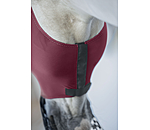 Fliegenmaske Stretch Comfort mit Nüsternschutz und RV