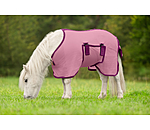 Fohlen und Minishetty Fliegendecke Kubi Fly