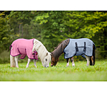 Fohlen und Minishetty Fliegendecke Kubi Fly