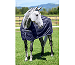 Fliegendecke Economy Light