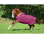 Fliegendecke Economy Light