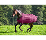 Fliegendecke Economy Light