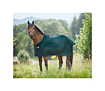 Fliegendecke Economy Light