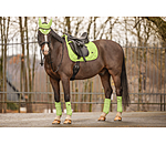 Fliegenhaube Essential