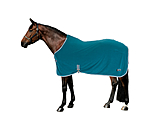 dark-turquoise