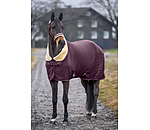 Funktions-Fleece-Abschwitzdecke Sparkling II