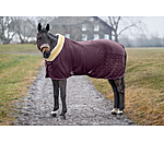 Funktions-Fleece-Abschwitzdecke Sparkling II