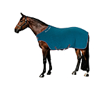 dark-turquoise