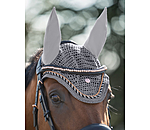 Fliegenhaube Coin