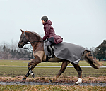 Softshell-Ausreitdecke Alecto inkl. abnehmbarem Halsteil