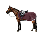 Softshell-Ausreitdecke Alecto inkl. abnehmbarem Halsteil