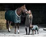 Stalldecke Stay Cozy