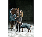 Stalldecke Stay Cozy