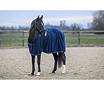 Kollektions-Abschwitzdecke Glitter