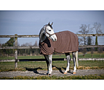 Kollektions-Abschwitzdecke Glitter